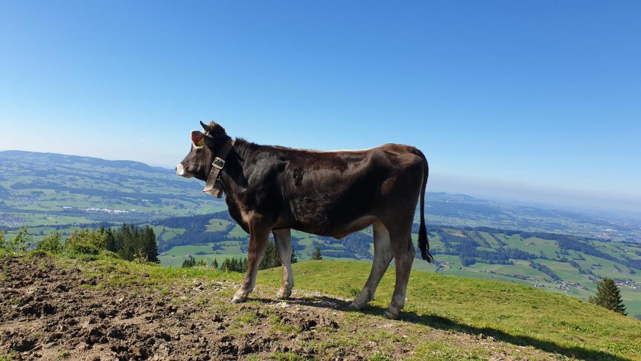 Allgaeu Bergluft Weitnau Extérieur photo