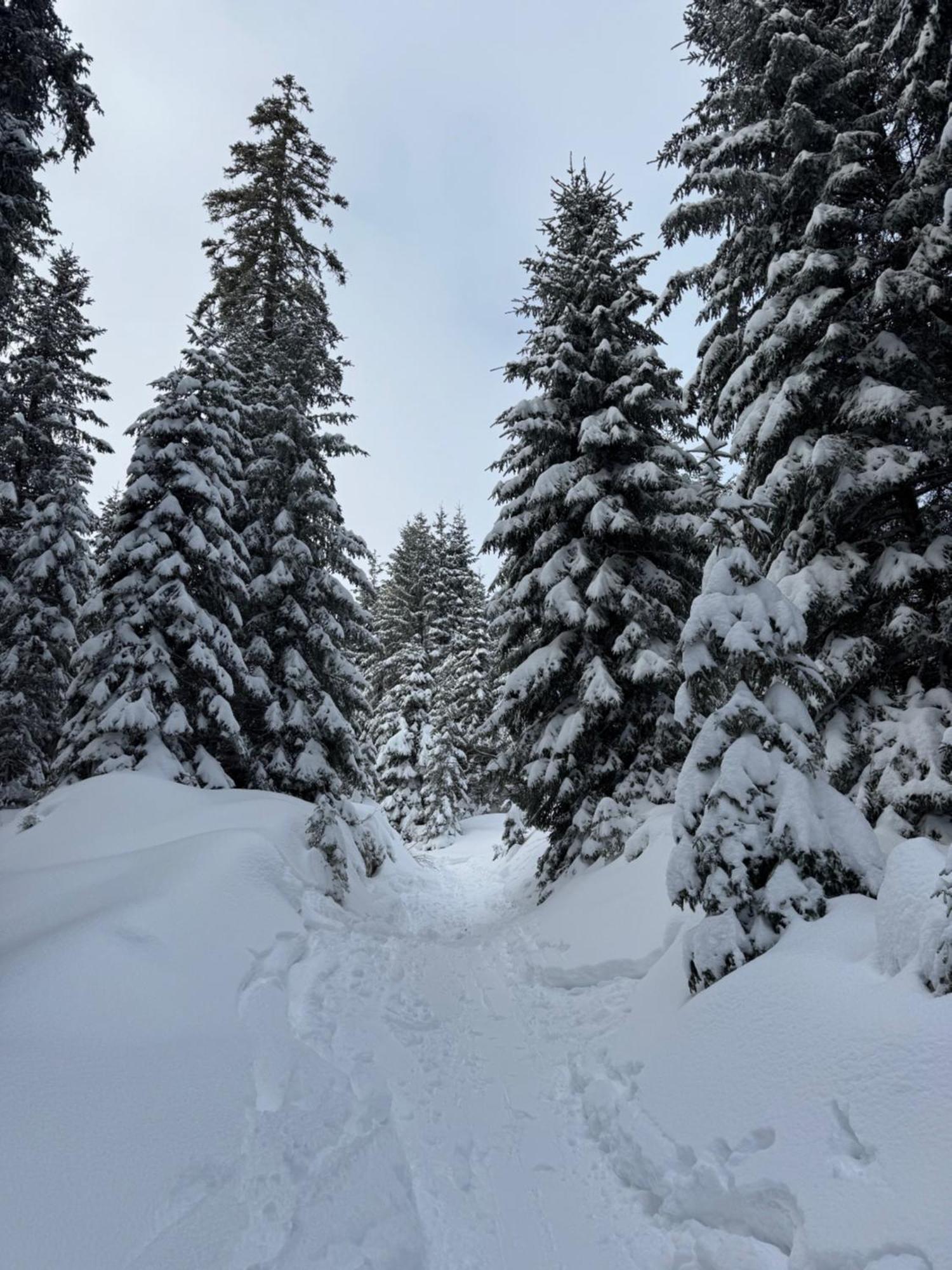 Allgaeu Bergluft Weitnau Extérieur photo