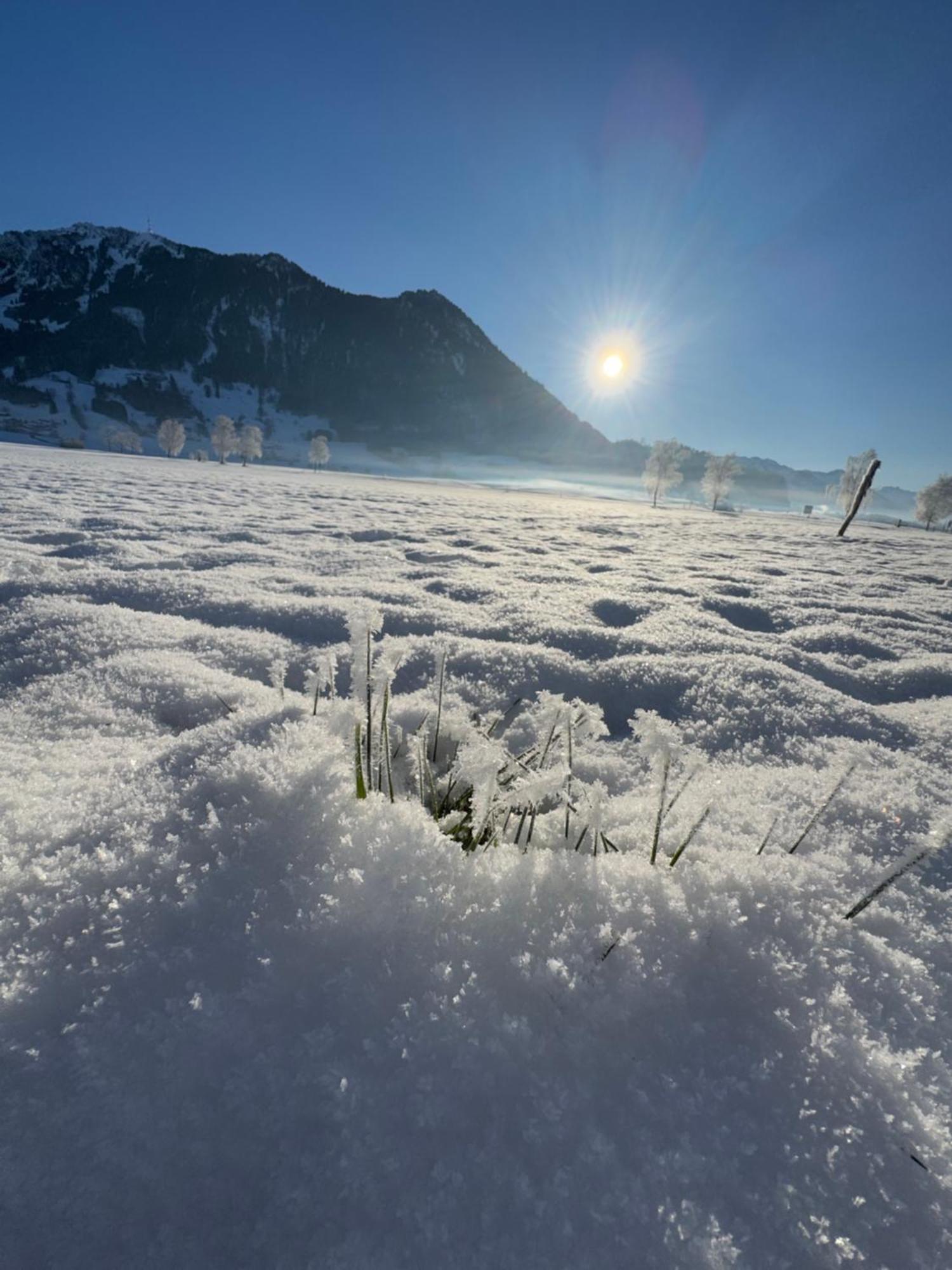 Allgaeu Bergluft Weitnau Extérieur photo