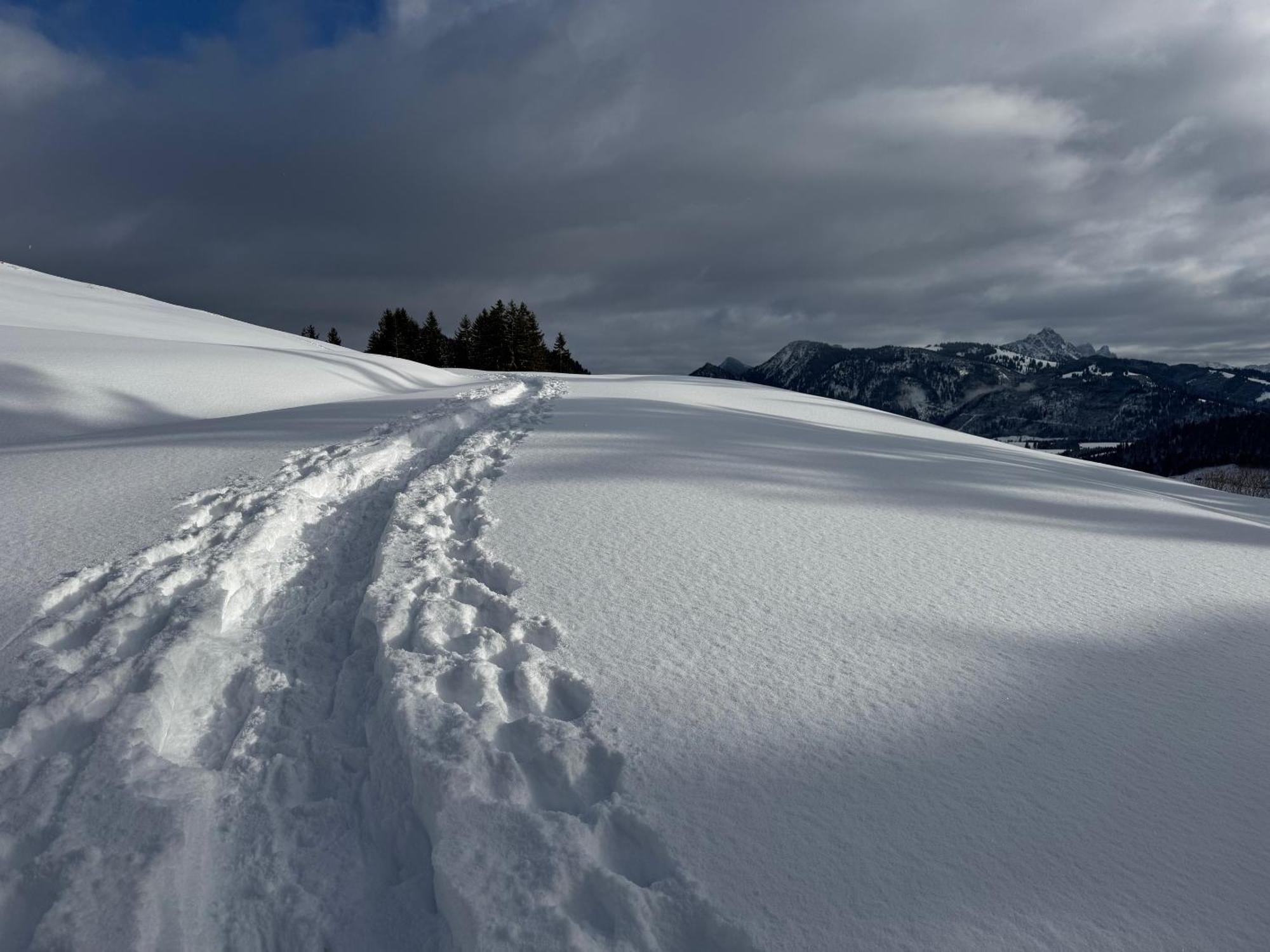 Allgaeu Bergluft Weitnau Extérieur photo